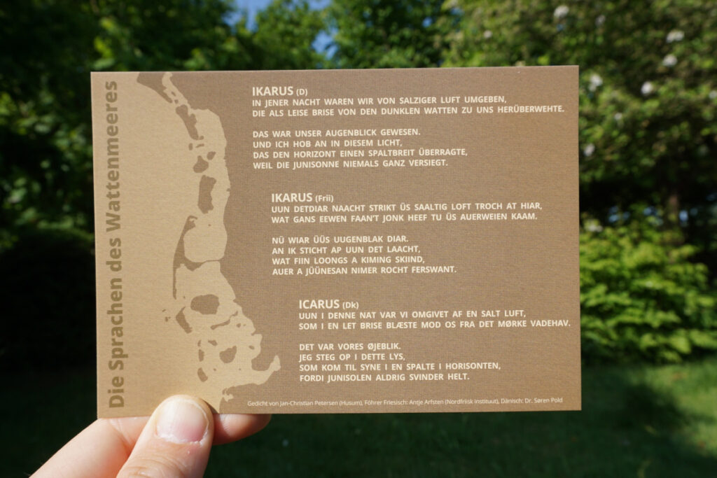 Ikarus Postkarte mit Gedicht von Jan-Christian Petersen