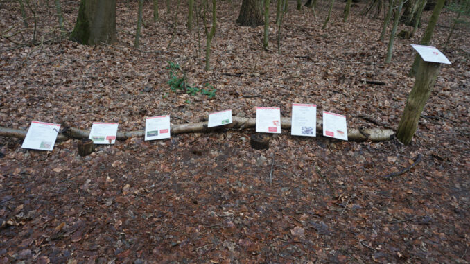 Signs in the woods 2 - Schilderwald