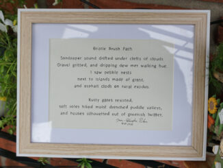 Bristle Brush Path - a poem by Jan-Christian Petersen