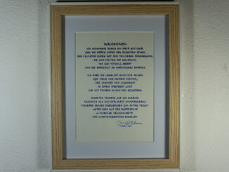 Gedicht - Waldkiemen