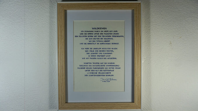 Gedicht - Waldkiemen