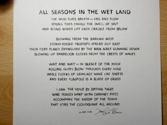 Poem - All Seasons in the Wet Land