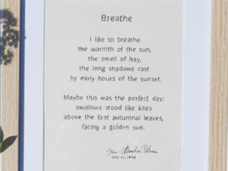 Breathe is a poem by Jan-Christian Petersen
