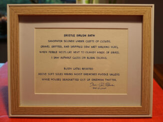 Poem - Bristle Brush Path