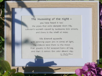 Humming of the Night is a poem by Jan-Christian Petersen