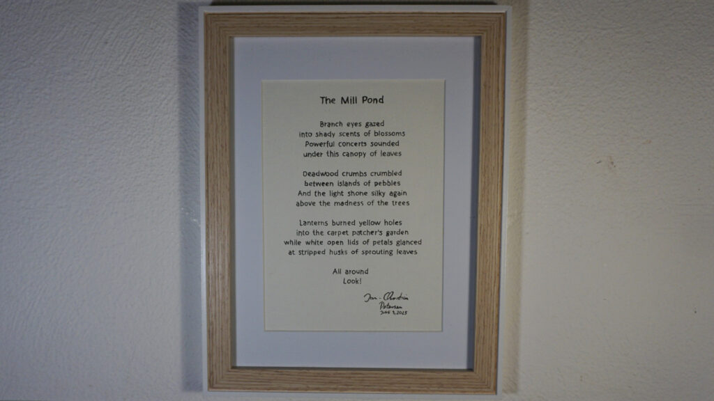 Poem - The Mill Pond