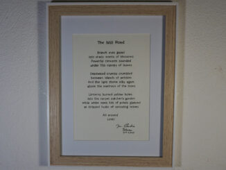 Poem - The Mill Pond