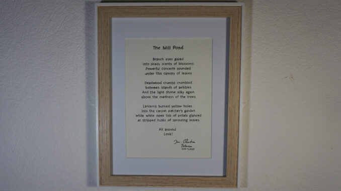 Poem - The Mill Pond