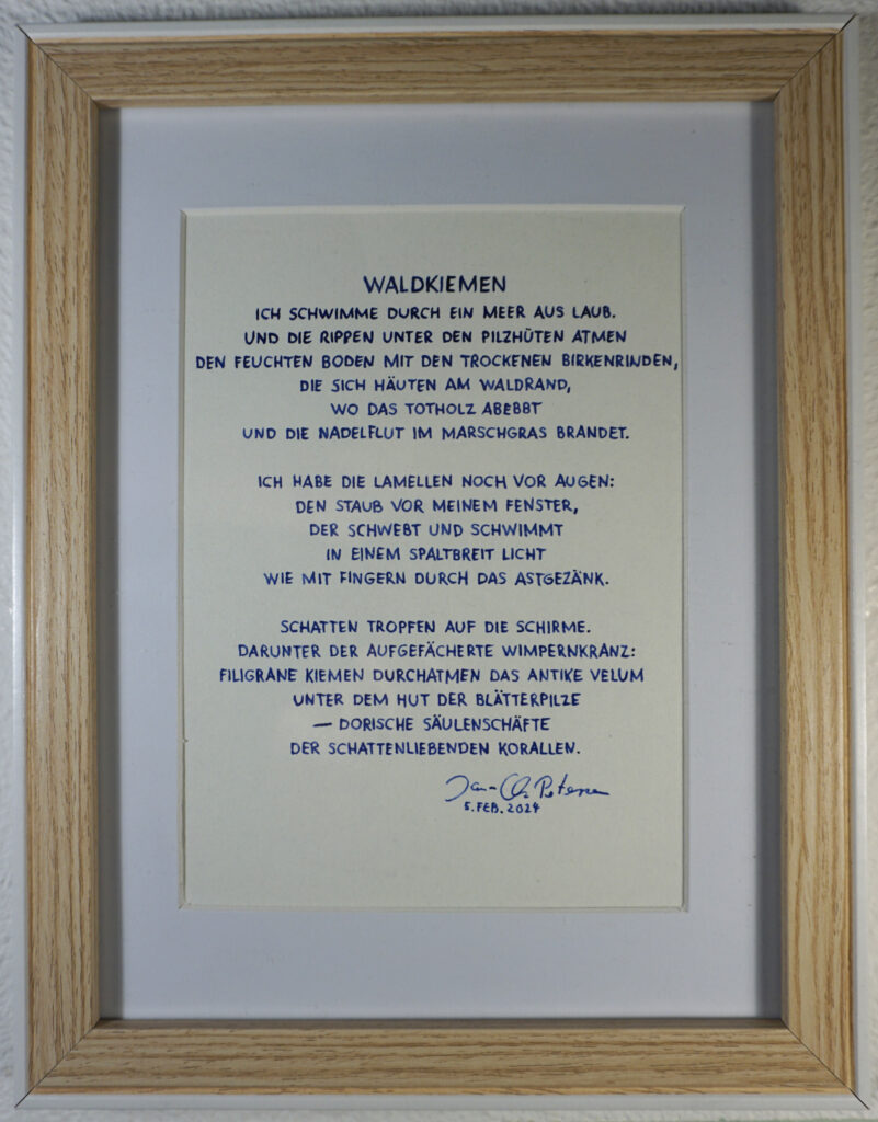 Waldkiemen von Jan-Christian Petersen